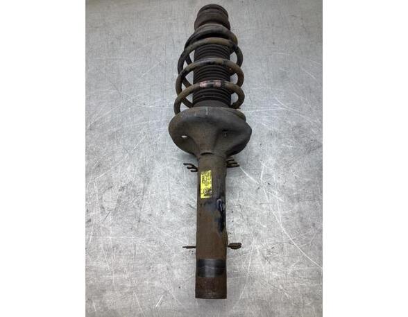 Suspension Strut VW NEW BEETLE Convertible (1Y7)