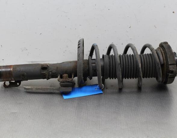 Suspension Strut SKODA FABIA II (542)