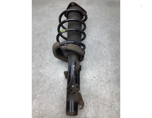 Suspension Strut MAZDA 5 (CR19)