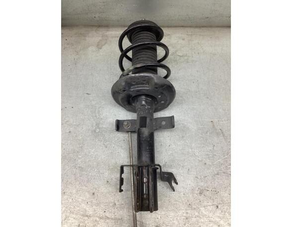 Suspension Strut RENAULT CLIO V (B7_)