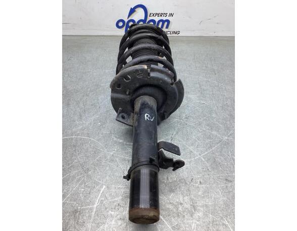 Suspension Strut FORD C-MAX II (DXA/CB7, DXA/CEU)