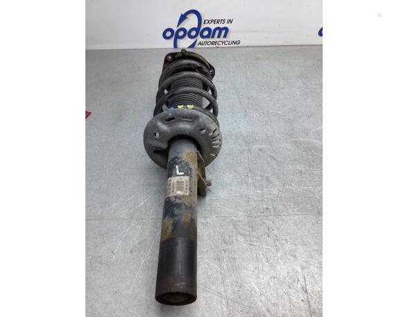 Suspension Strut SKODA SUPERB II Estate (3T5)