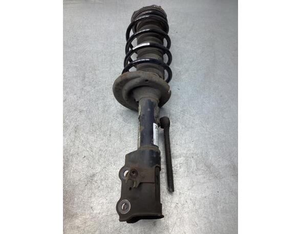 Suspension Strut FORD FIESTA VI (CB1, CCN)