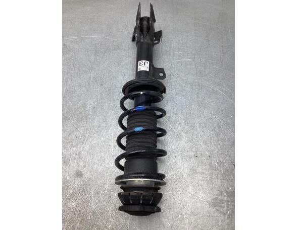 Suspension Strut SUZUKI IGNIS III (MF)