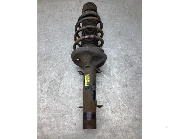 Suspension Strut VW NEW BEETLE Convertible (1Y7)