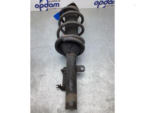 Federbein links vorne Ford Transit Kasten F**6  P4481805