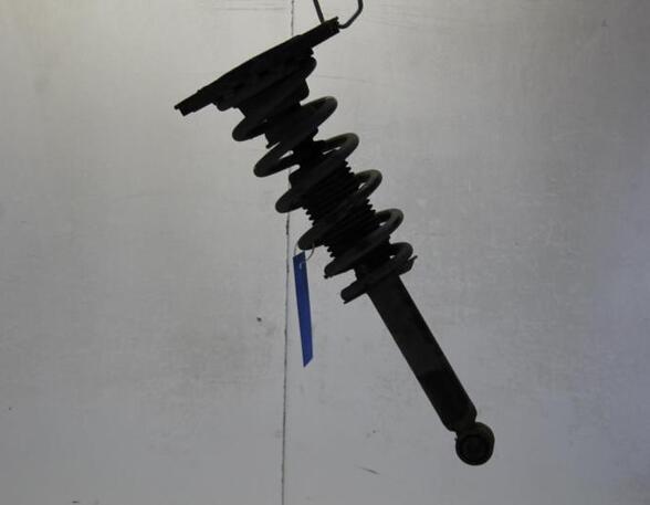 Suspension Strut NISSAN PRIMERA Estate (WP12)