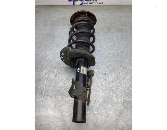 Suspension Strut FORD GALAXY (WA6), FORD S-MAX (WA6)