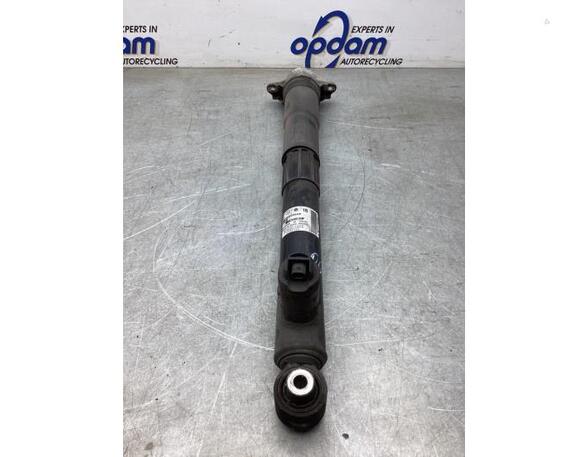 Suspension Strut VW GOLF VII (5G1, BQ1, BE1, BE2)