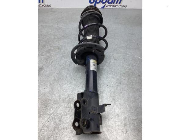 Suspension Strut SUZUKI BALENO (FW, EW)