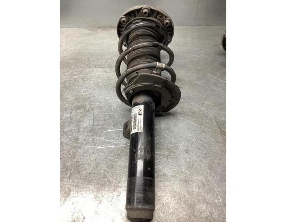 Suspension Strut BMW 3 Touring (F31), BMW 3 Touring Van (F31)