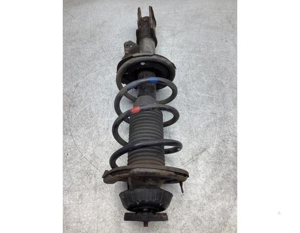 Suspension Strut HYUNDAI i10 (PA)