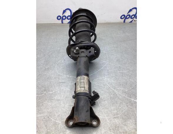 Suspension Strut MERCEDES-BENZ C-CLASS (W204)