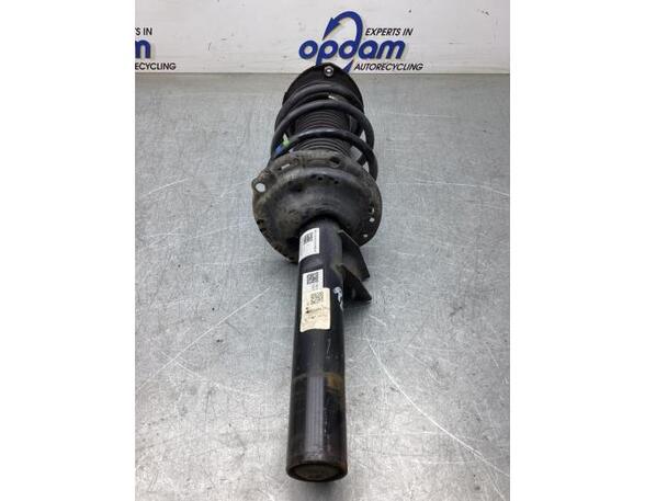 Suspension Strut VW GOLF SPORTSVAN (AM1, AN1)