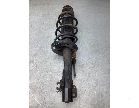 Suspension Strut SEAT IBIZA IV (6J5, 6P1), SEAT IBIZA IV SC (6J1, 6P5), SEAT IBIZA IV ST (6J8, 6P8)