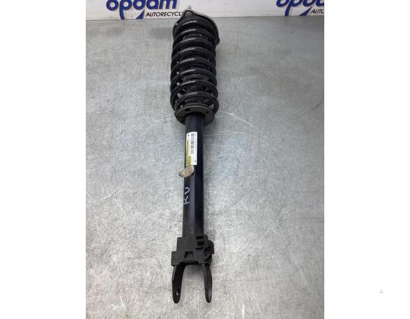 Suspension Strut MERCEDES-BENZ E-CLASS Convertible (A238)