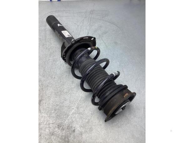 Suspension Strut SKODA KODIAQ (NS7, NV7, NS6)