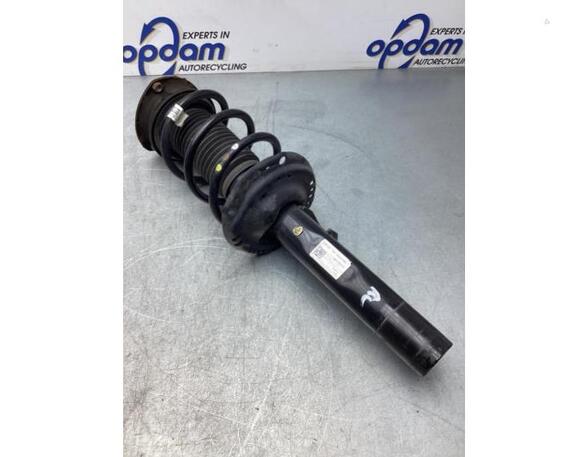 Suspension Strut SKODA KODIAQ (NS7, NV7, NS6)