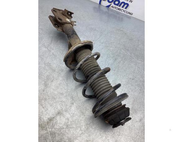 Federbein links vorne Suzuki Alto GF XXXXX P17350470