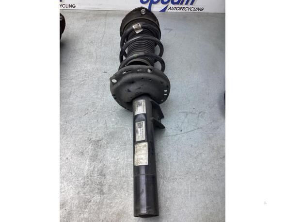 Suspension Strut VW GOLF VIII (CD1)