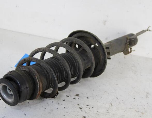 Suspension Strut AUDI A3 (8L1)