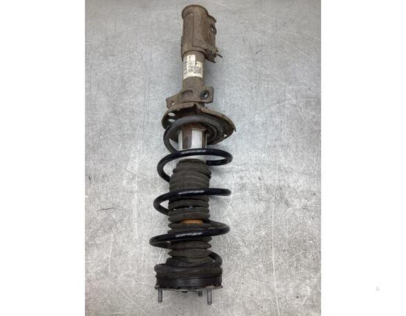 Suspension Strut FORD FIESTA VI (CB1, CCN)