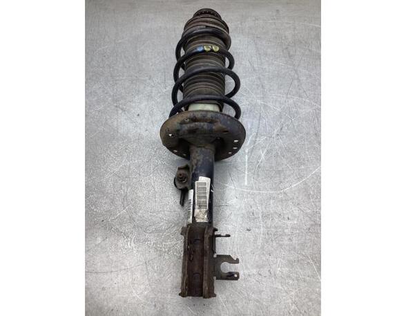 Suspension Strut FIAT GRANDE PUNTO (199_), FIAT PUNTO EVO (199_), FIAT PUNTO (199_)