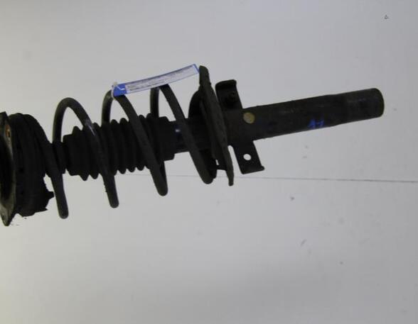 Suspension Strut RENAULT MEGANE II Estate (KM0/1_)