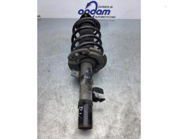 Suspension Strut FORD C-MAX II (DXA/CB7, DXA/CEU)