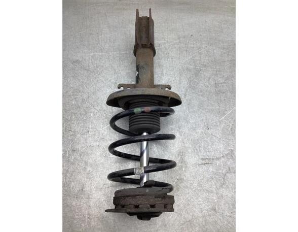 Suspension Strut RENAULT MEGANE III Coupe (DZ0/1_)