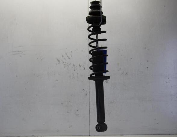 Suspension Strut VW POLO (6N1)