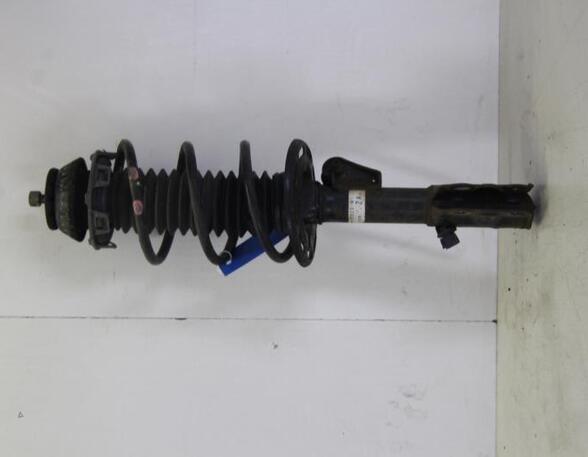 Suspension Strut HONDA JAZZ II (GD_, GE3, GE2)