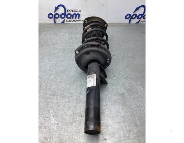 Suspension Strut VW GOLF VIII (CD1)