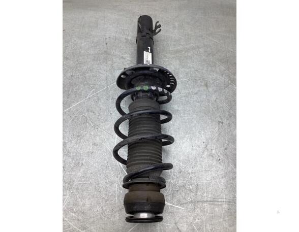 Suspension Strut SKODA RAPID (NH3, NK3, NK6), SKODA FABIA III Estate (NJ5)