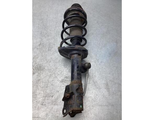 Suspension Strut SUZUKI CELERIO (LF)