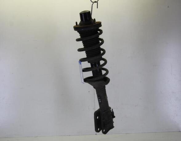 Suspension Strut LAND ROVER FREELANDER (L314), LAND ROVER FREELANDER Soft Top (L314)