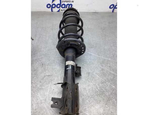 Suspension Strut SUZUKI SX4 S-CROSS (JY)