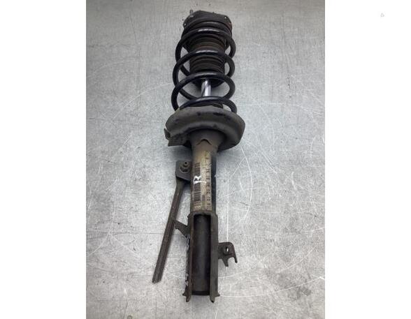 Suspension Strut FORD FIESTA VI (CB1, CCN)