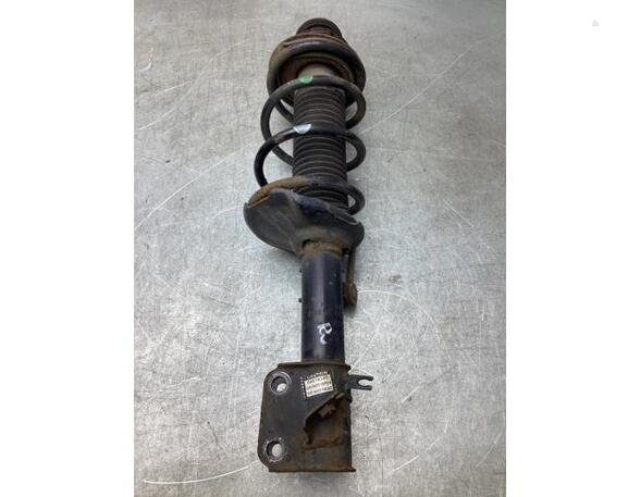 Suspension Strut NISSAN PIXO (UA0)