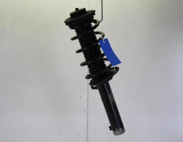 Suspension Strut SKODA SUPERB II (3T4)