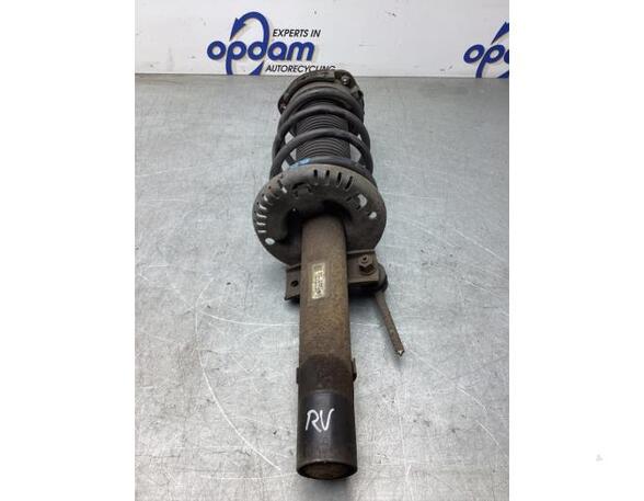 Suspension Strut SKODA FABIA I (6Y2)