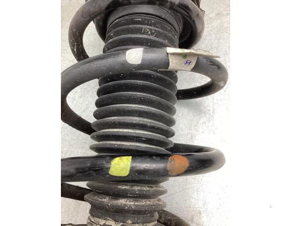 Suspension Strut KIA NIRO II (SG2), KIA NIRO I (DE)