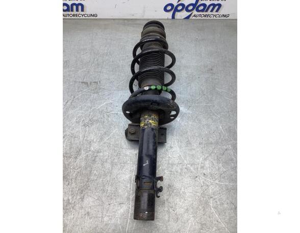 Suspension Strut VW POLO (6R1, 6C1), VW POLO Van (6R)