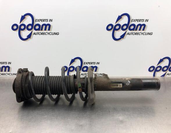 Suspension Strut VW GOLF V (1K1)