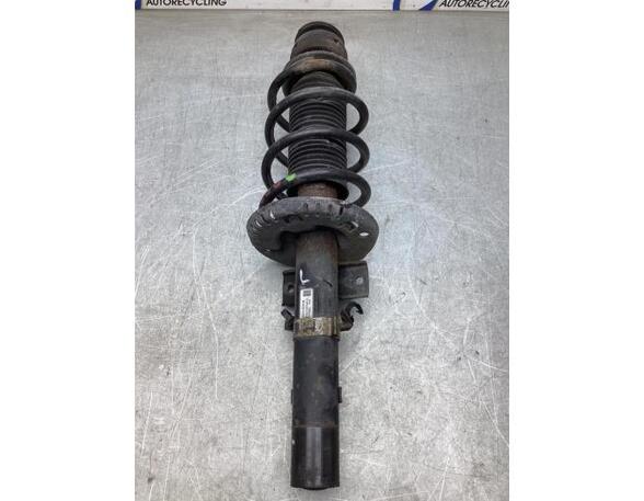 Suspension Strut SKODA FABIA II Combi (545), SKODA ROOMSTER Praktik (5J)