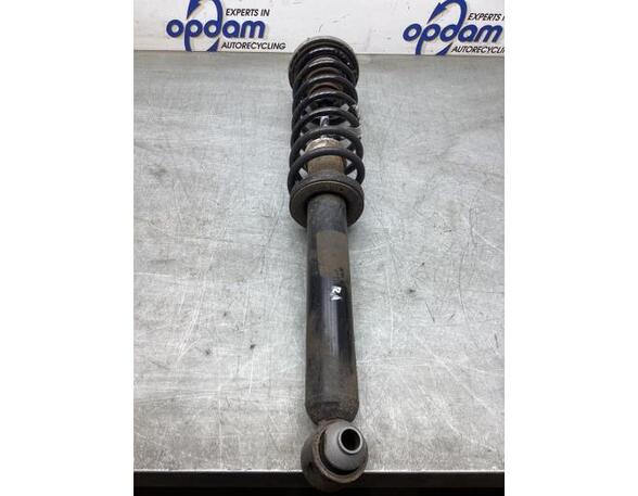 Suspension Strut BMW 5 (F10)