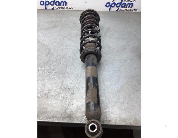 Suspension Strut BMW 5 (F10)