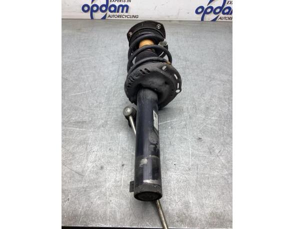 Suspension Strut VW T-ROC (A11, D11)