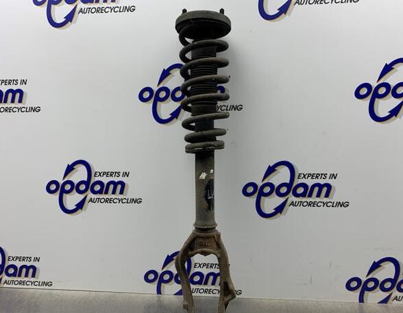 Suspension Strut HONDA ACCORD VII (CL, CN)