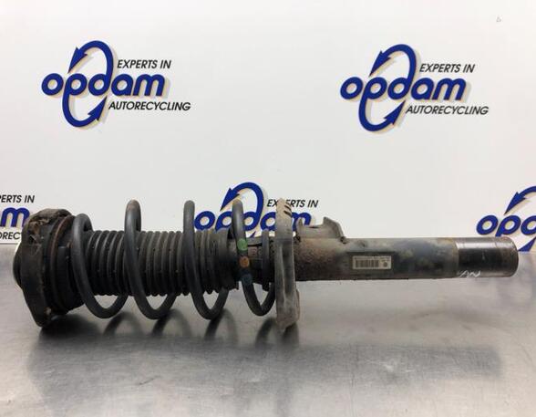 Suspension Strut VW GOLF V (1K1)